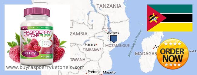 Où Acheter Raspberry Ketone en ligne Mozambique